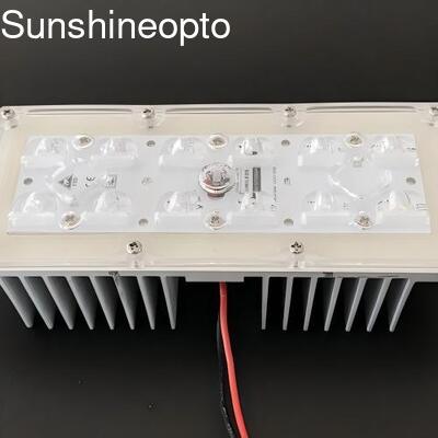 거리 조명용 173mm 145x70도 빔 각도 렌즈가 있는 12개의 LED 5050 SMD LED 조명 모듈